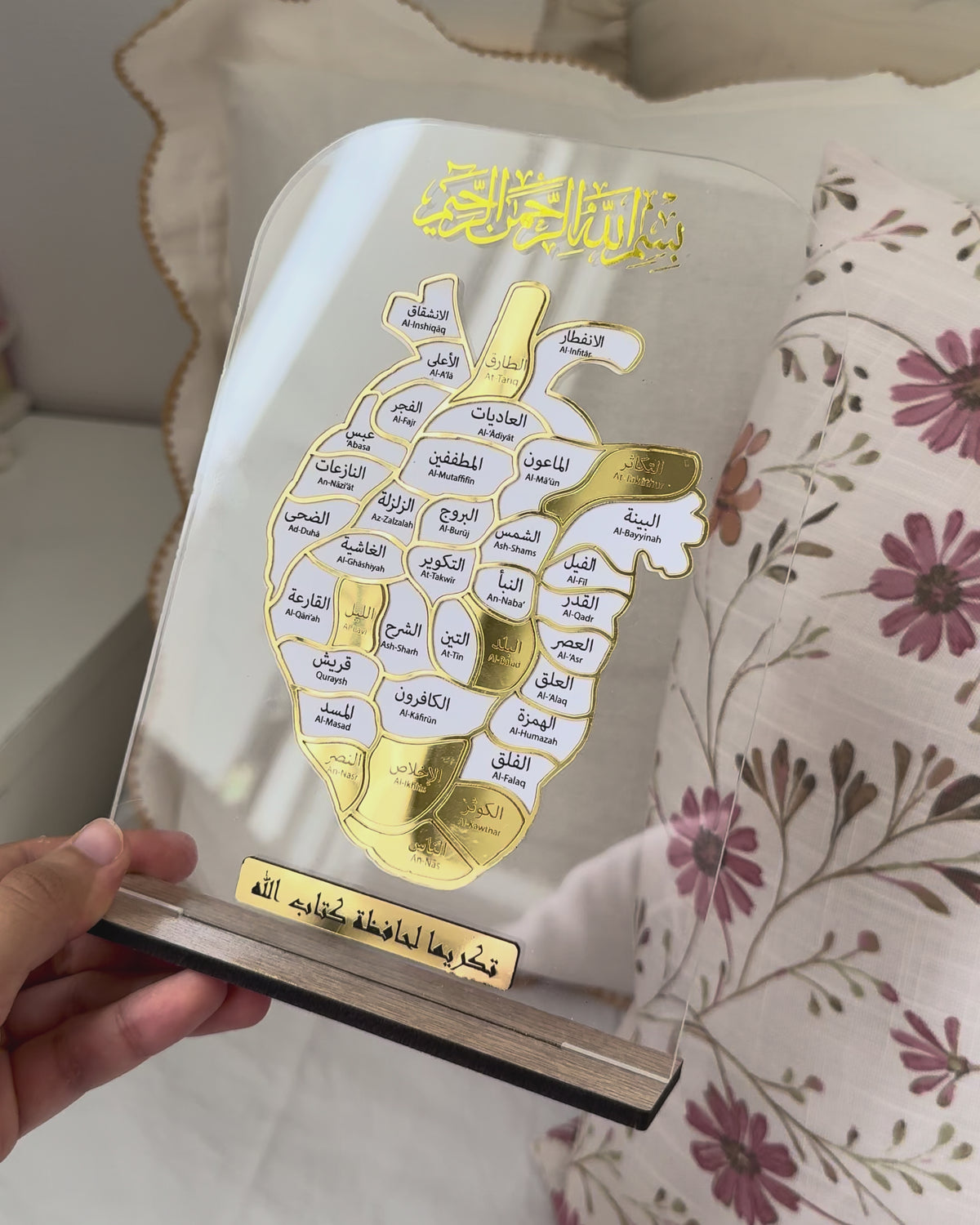 Cœur Juzz Amma - Plexi